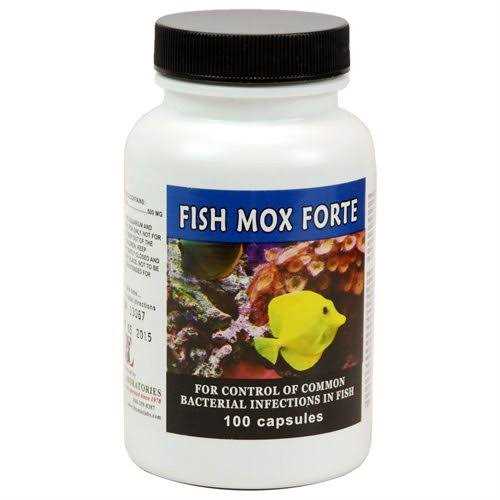 Thomas Labs Fish Flex Forte 500 mg. 100 Capsules - Healthber