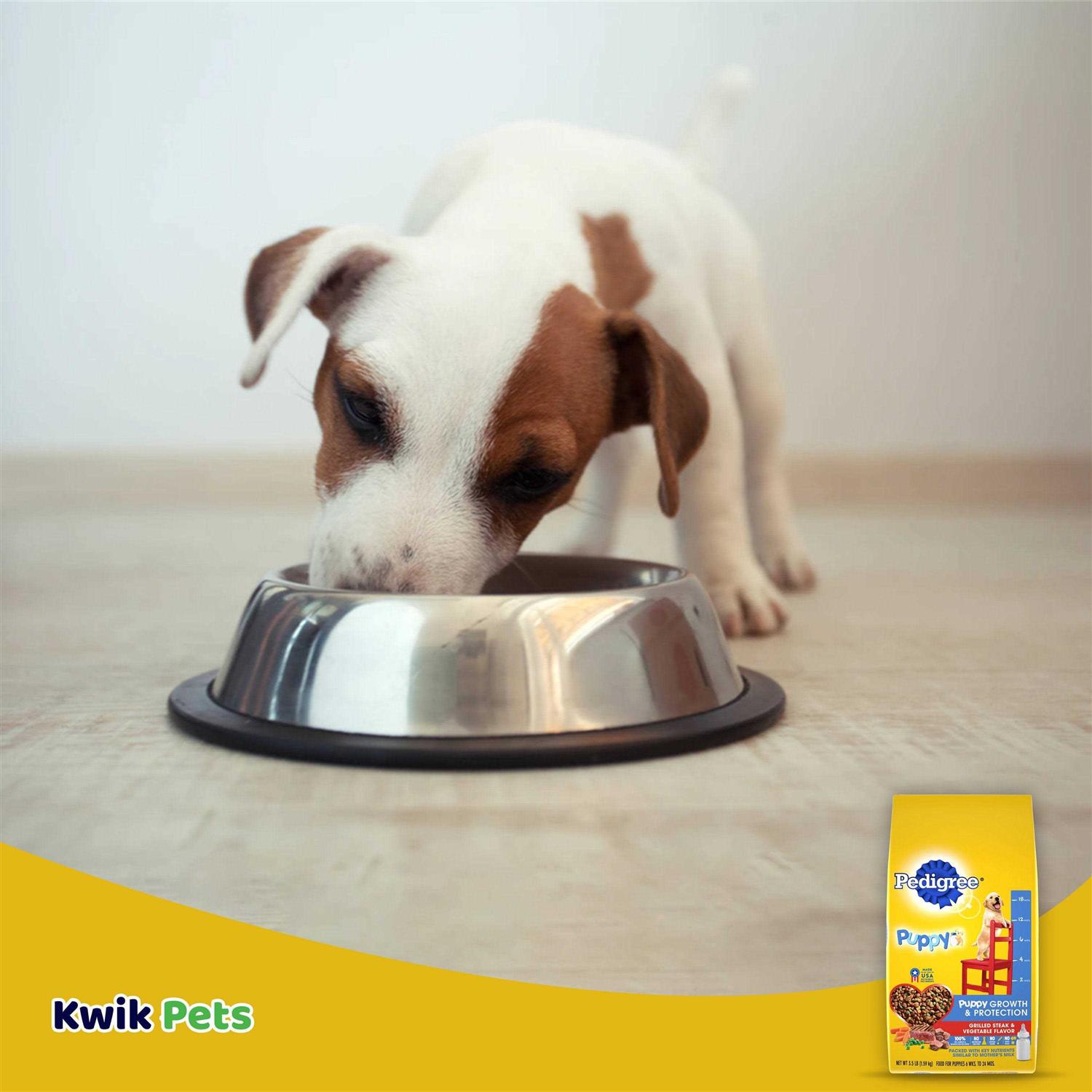 Pedigree Puppy Growth & Protection Dry Dog Food Vegetable Flavor - Healthber