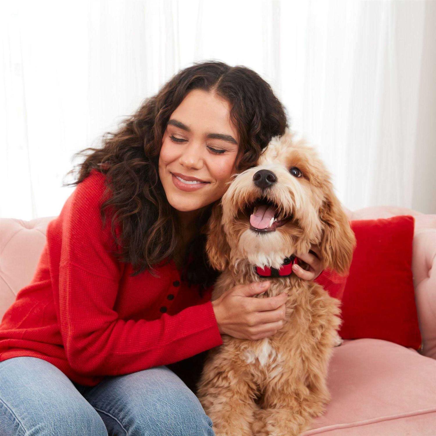 Milk-Bone Sweetheart Snacks Minis Dog Treats - Healthber
