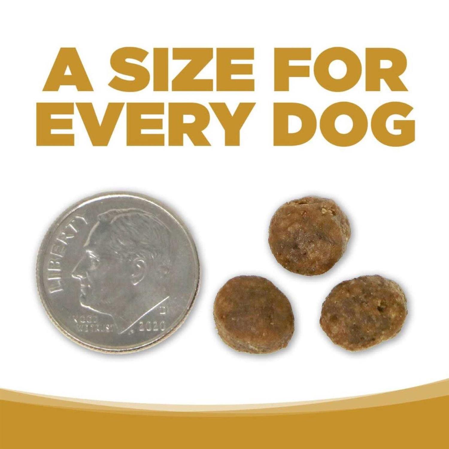 NutriSource Small Bites High Plains Select Grain Free Dog Food - Healthber