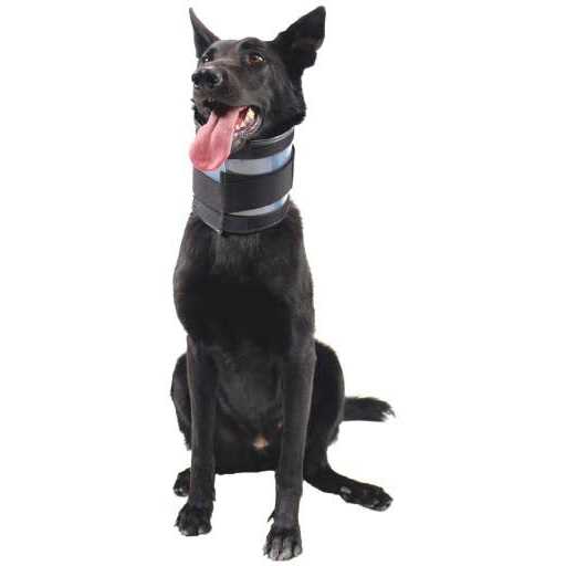 Bite Free Collar Cervical Collar KVP - Healthber
