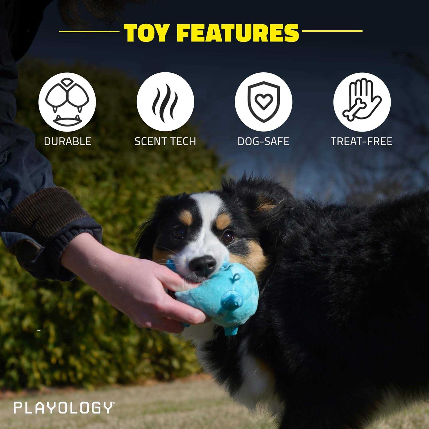 Playology Puppy Sensory Ball Dog Toy - Healthber