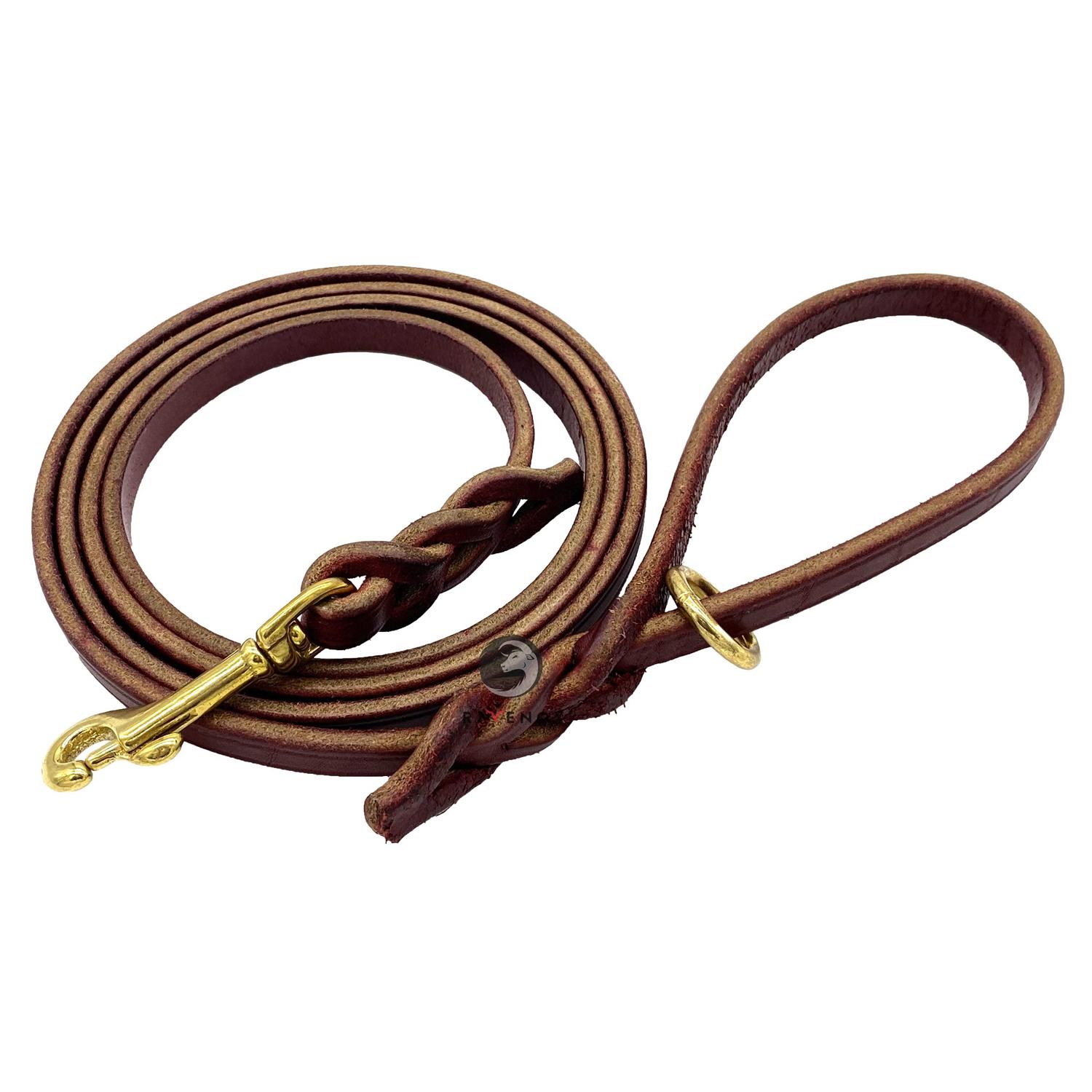 Ravenox 6 FT Braided Leather Dog Leash - Healthber
