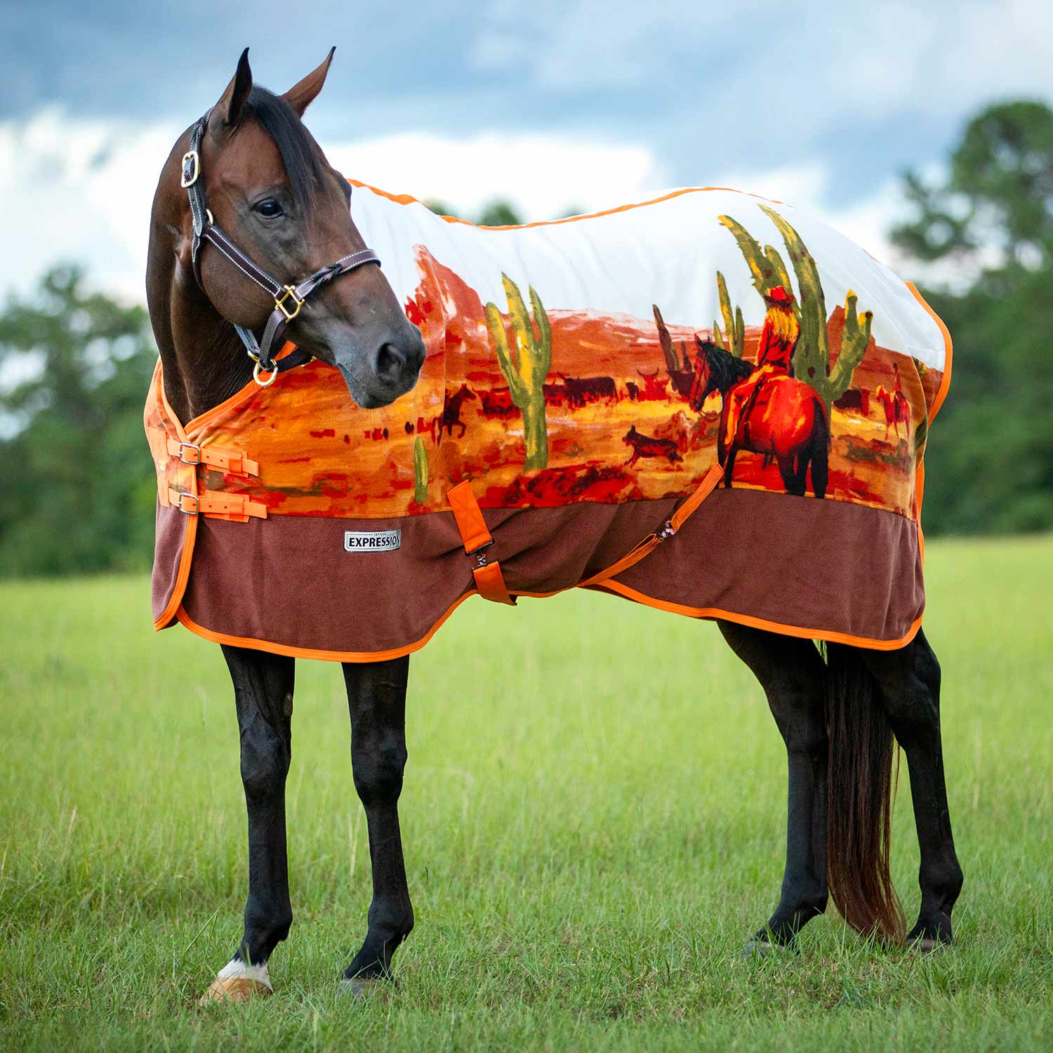 Expression Standard Neck Fleece Horse Cooler, Cattle Drive - Healthber