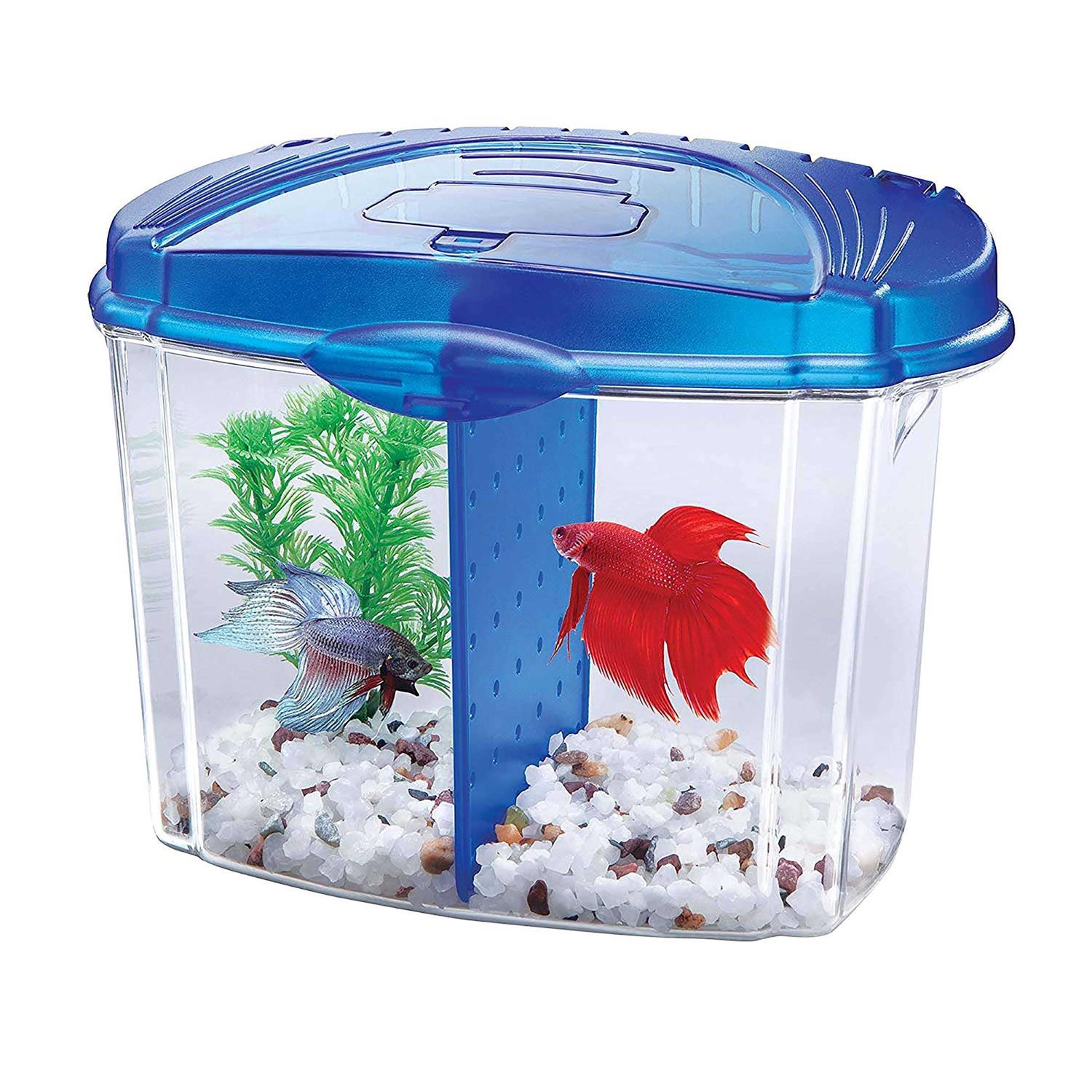 Aqueon Betta Bowl Kit - Healthber
