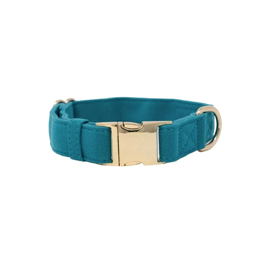 Pink Papyrus Hayden Collar, Teal - Healthber