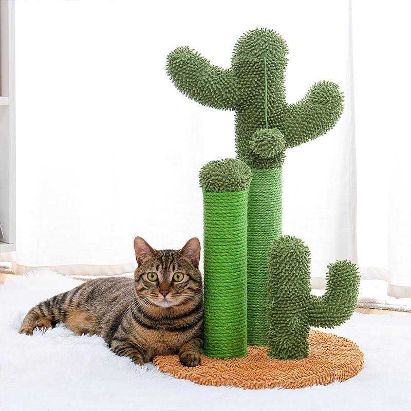 Pawz Road Cactus Cat Scratching Posts Sisal Cat Scratcher - Healthber