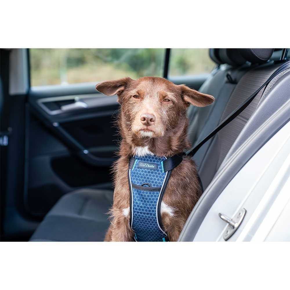 Carsafe Crash Tested Dog Harness - Healthber
