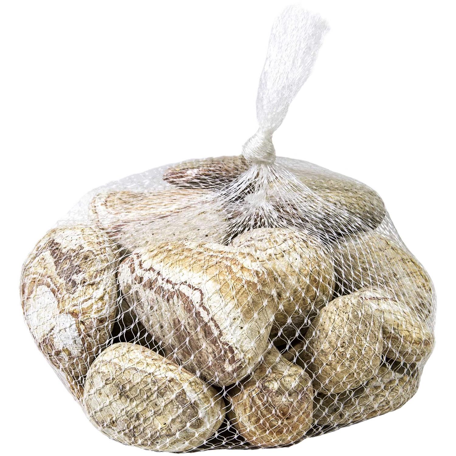 Galapagos Natural Terrarium Stones - Healthber