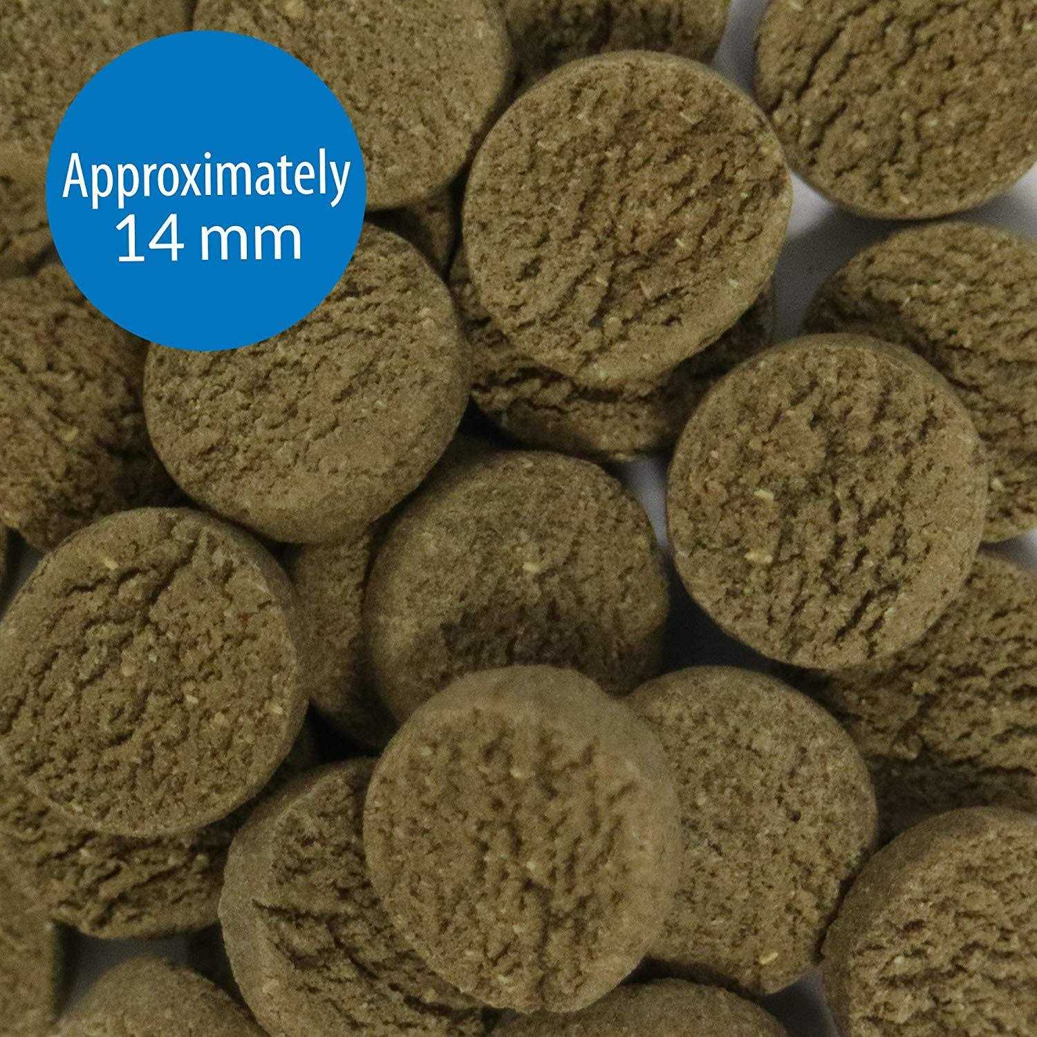 API Algae Eater Algae Wafers - Healthber