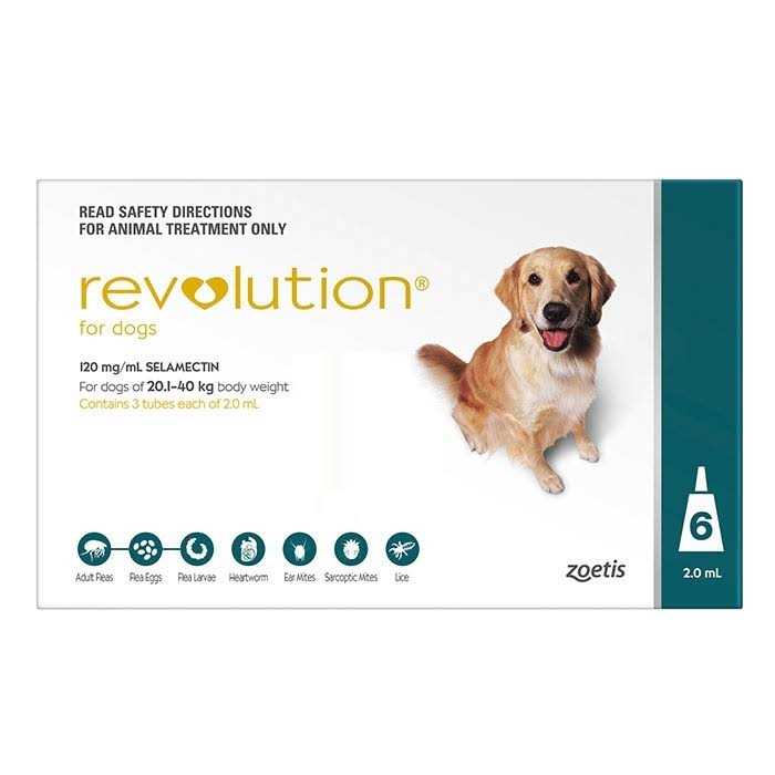 Revolution Teal 6 Pack - Healthber