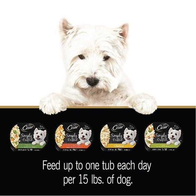 Cesar Wholesome Bowls Wet Dog Food - Healthber