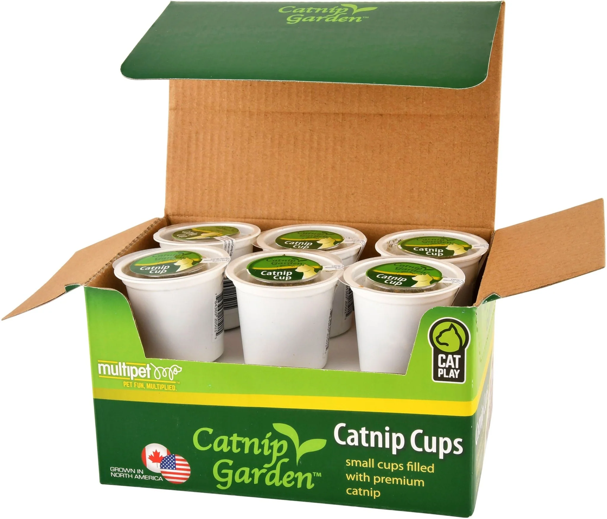 Catnip Garden Catnip - Healthber