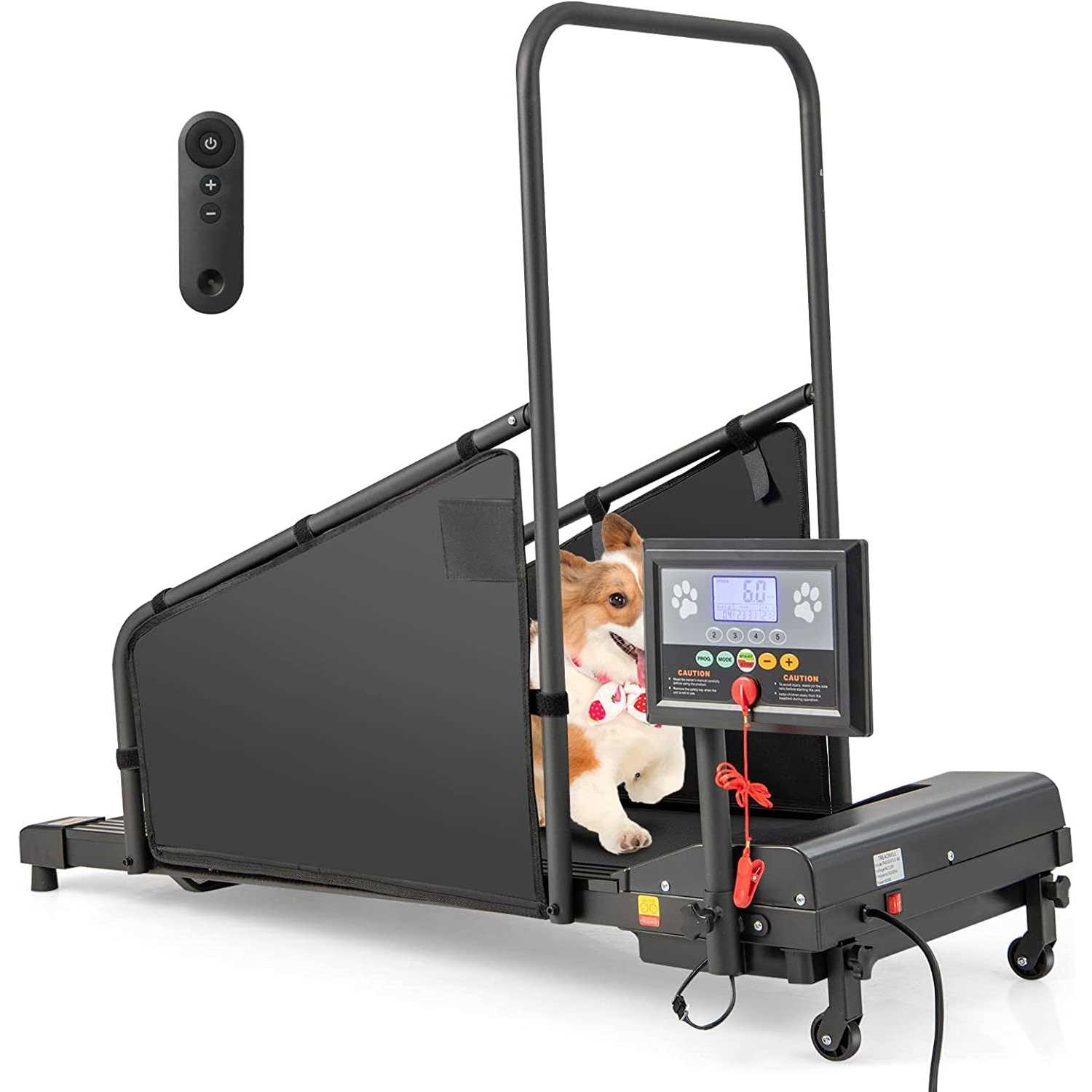 Indoor Pet Exercise Equipment with Remote Control - Healthber