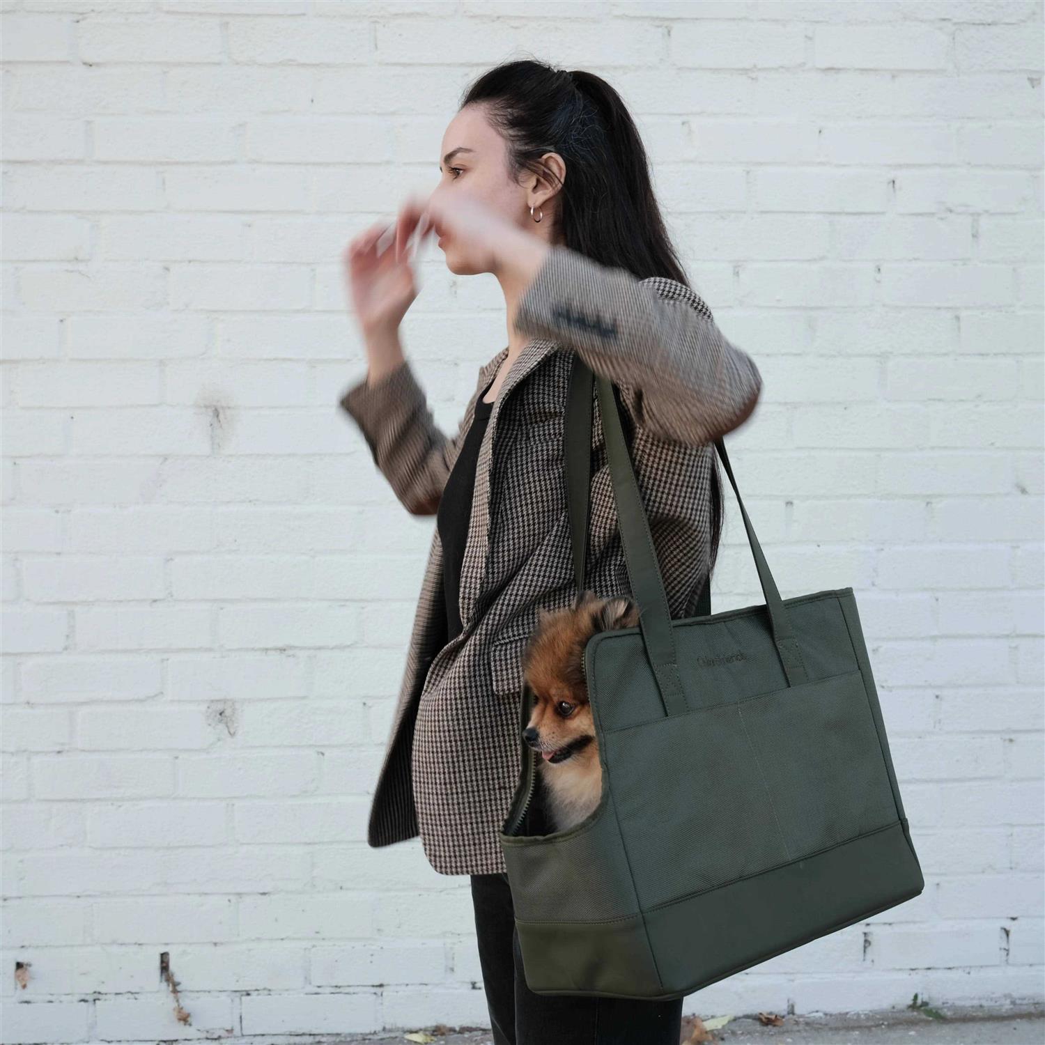 Pet Tote Bag for Small Dogs and Cats by Oskar&Friends - Healthber