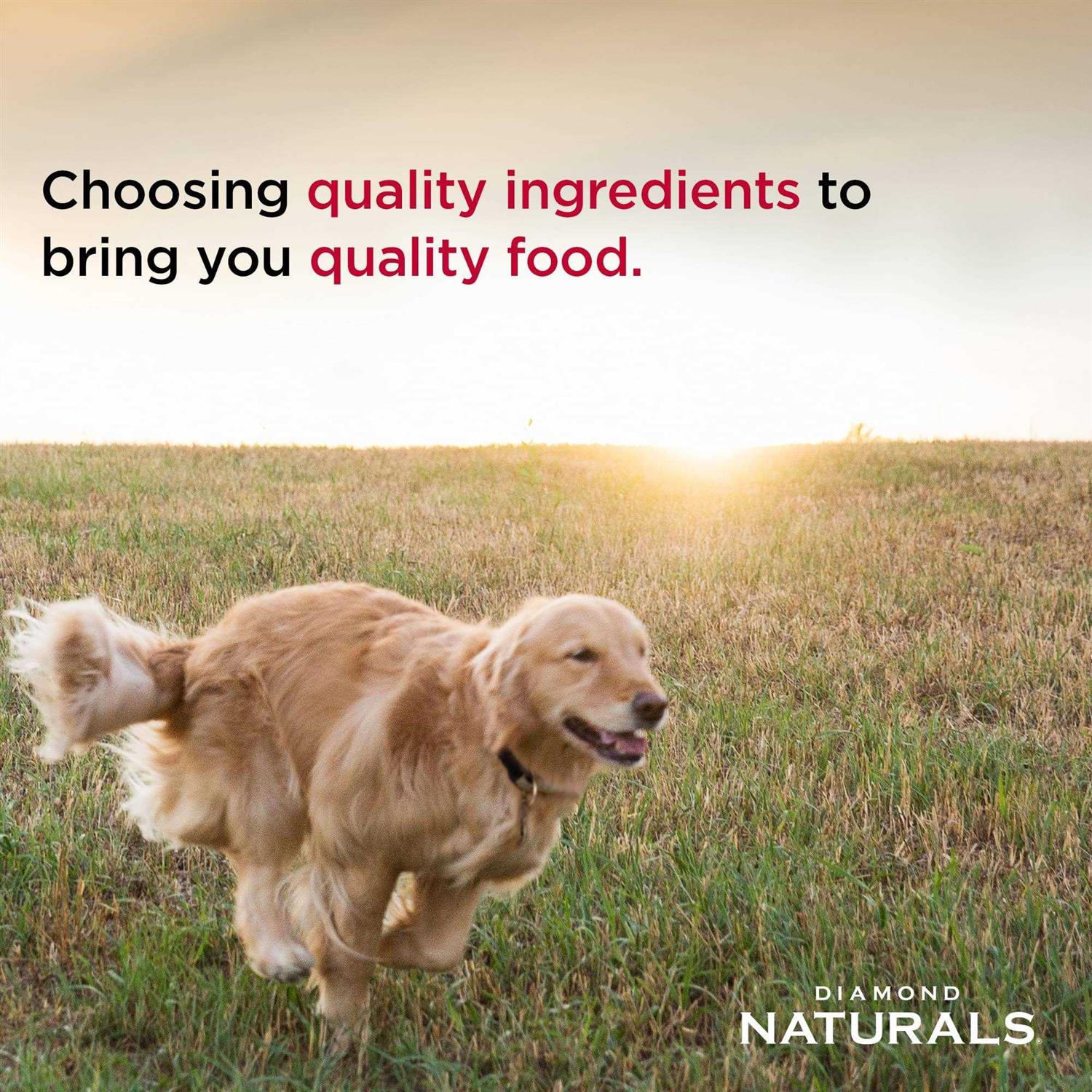 Diamond Dog Food Naturals Chicken & Rice - Healthber