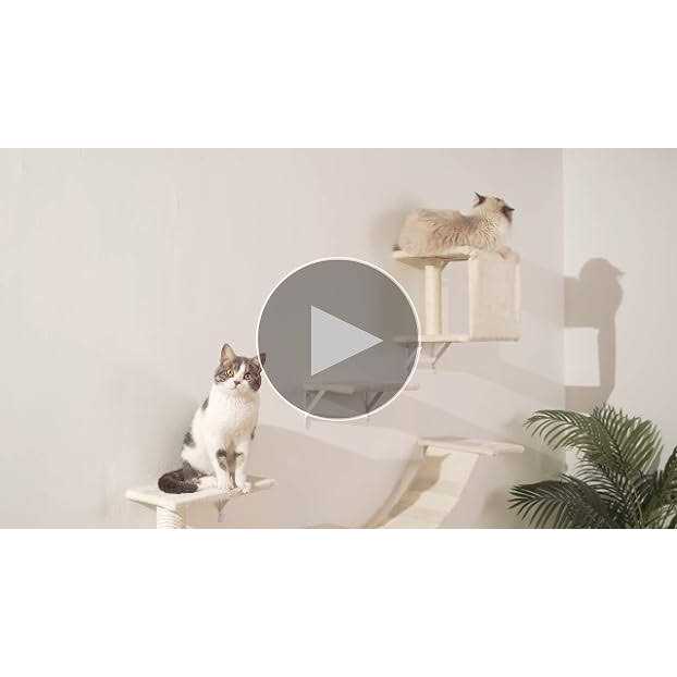 Modern Wall-Mounted Cat Furniture 5pcs Cat Wall Shelves Wooden Cat Climber Cat House, Bridge, Tree, Steps, and Scratcher - Healthber