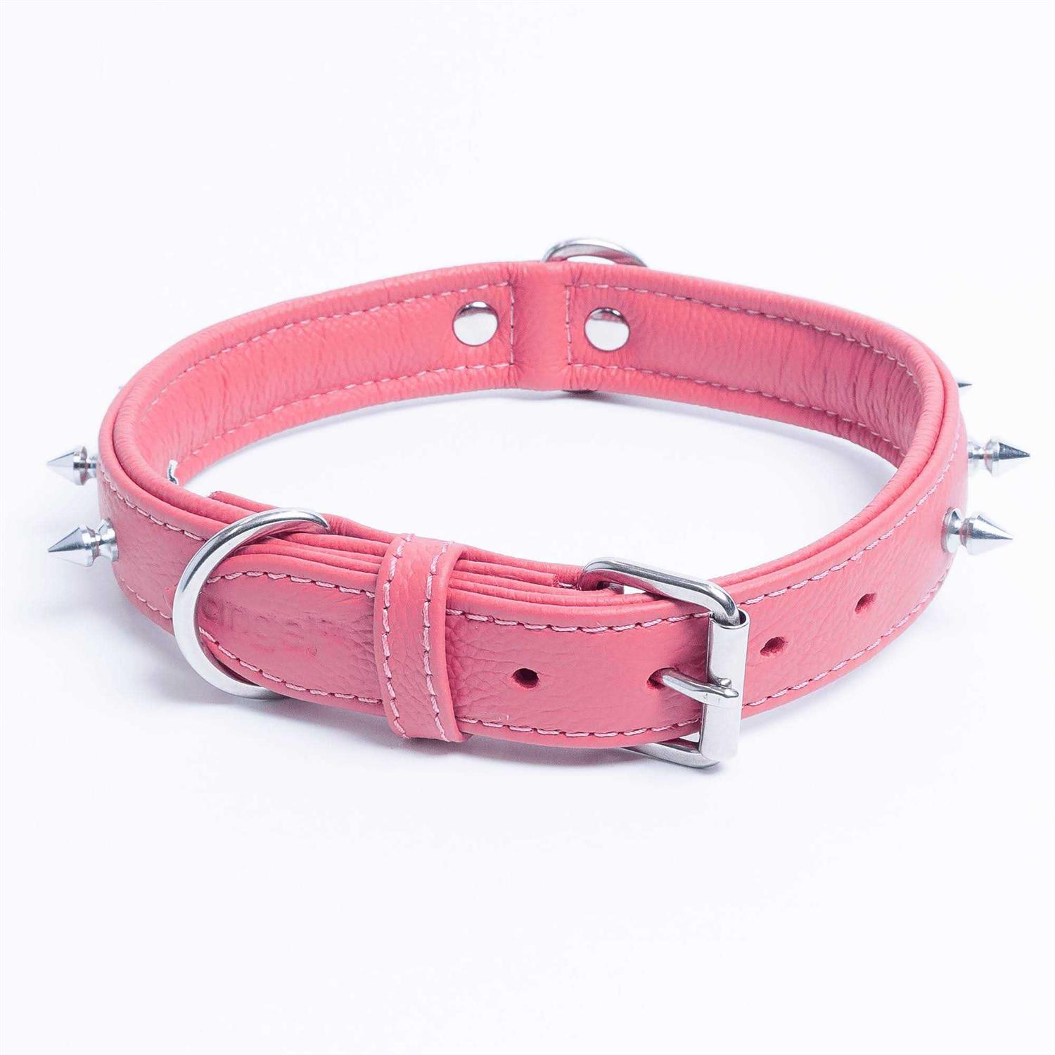 Rotterdam Dog Collar Spiked - Healthber