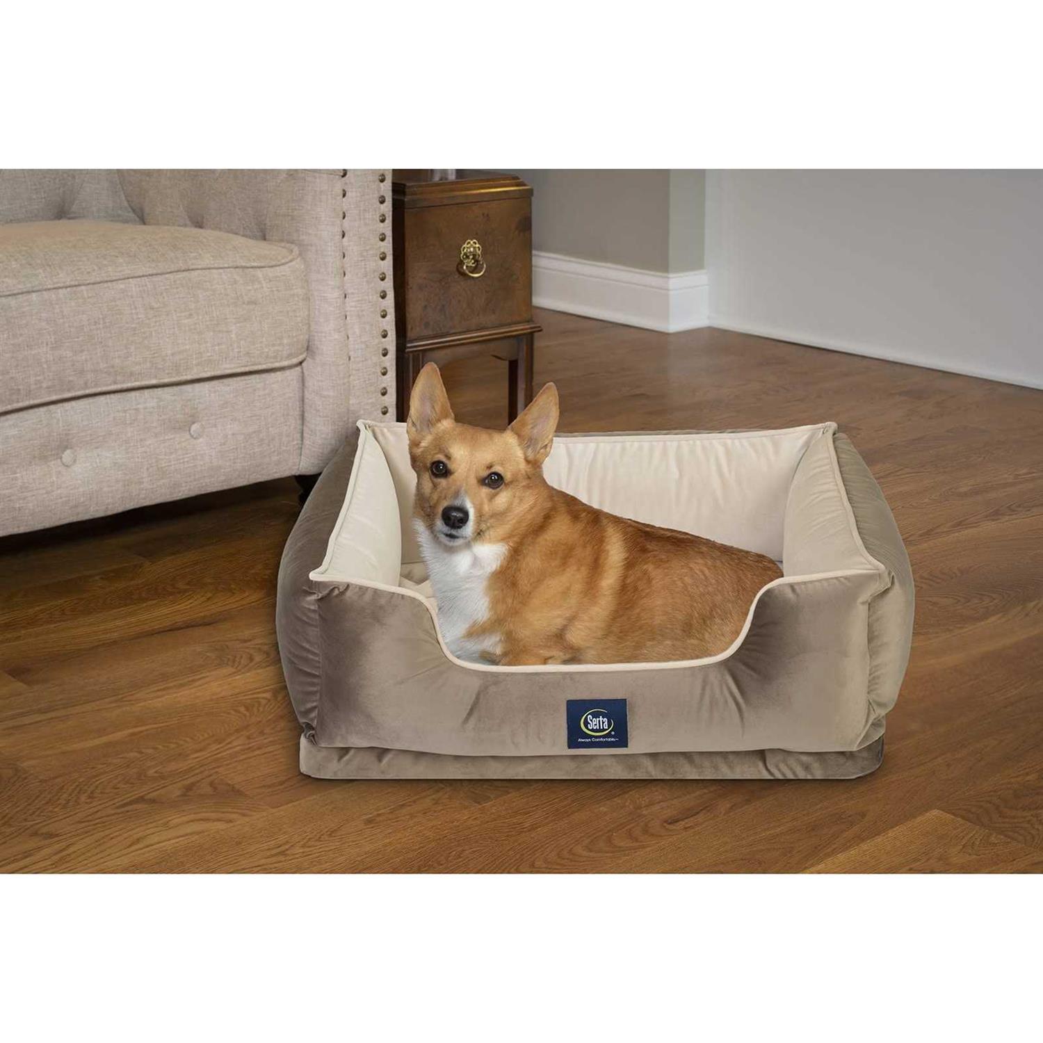 Serta Cuddler Pet Bed - Healthber