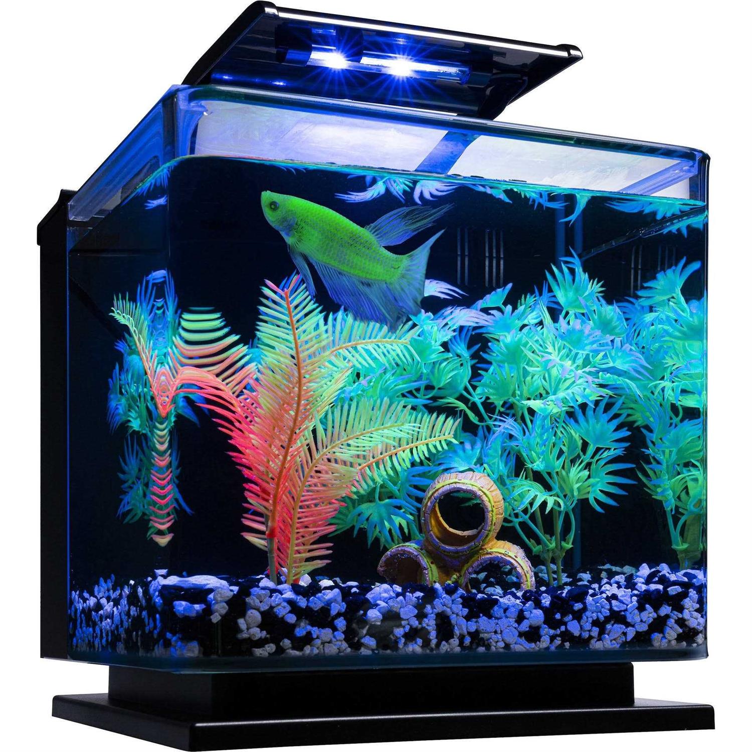 GloFish Betta Fish Aquarium Kit - Healthber