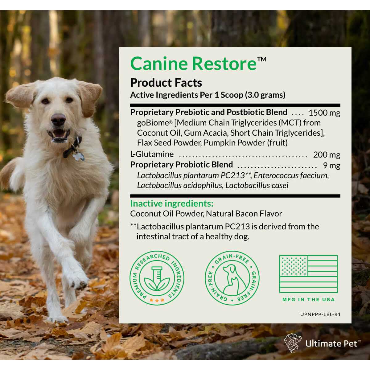 Ultimate Pet Nutrition Canine Restore Pre, Pro, and Postbiotic Digestive Support Powder for Dogs 3.17 oz - Healthber