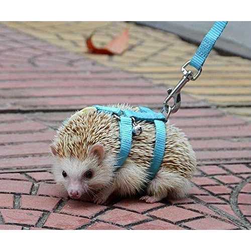 hokmly Adjustable Small Pet Hedgehog Harness for Training Playing Traction Rope - Healthber