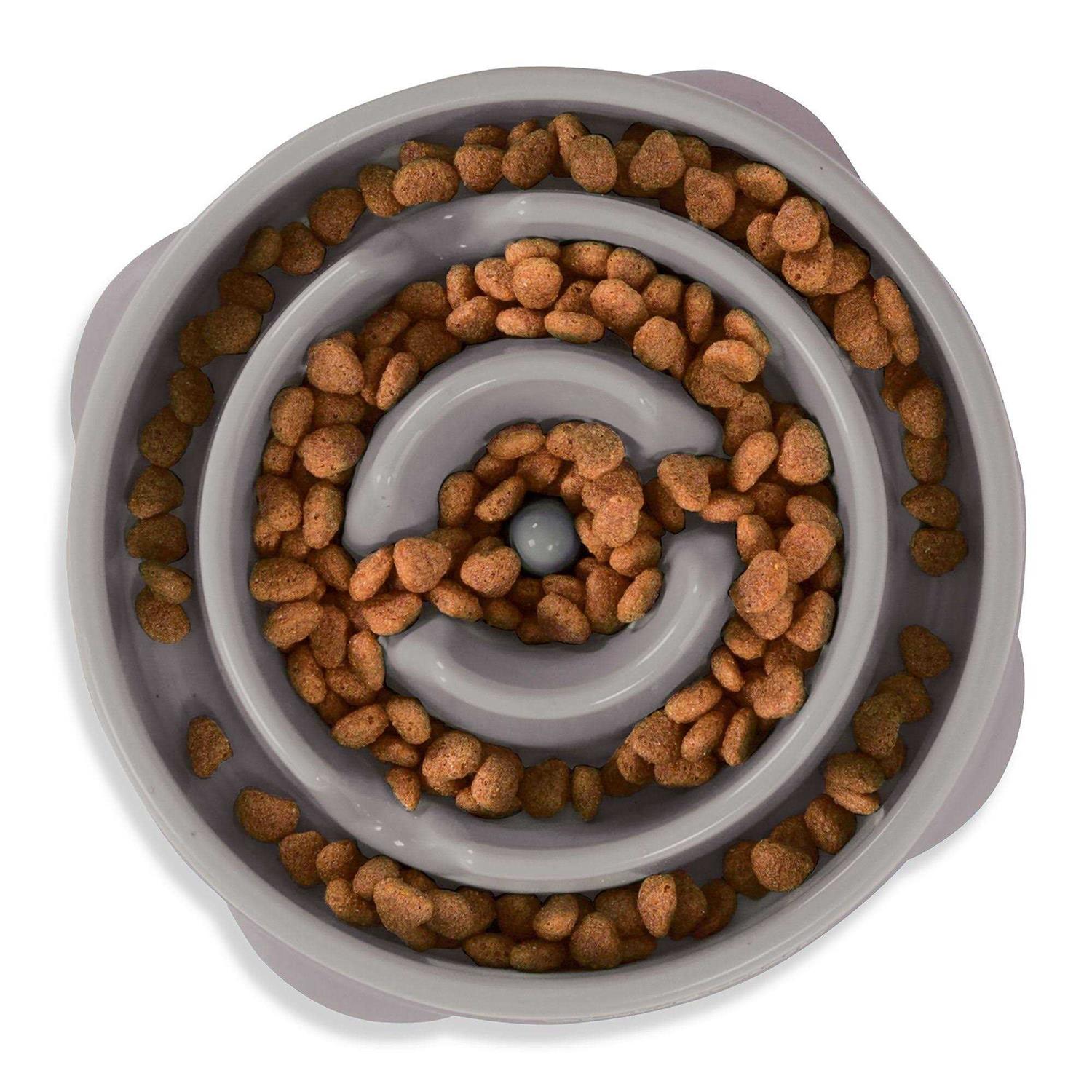 Outward Hound Fun Feeder Slow Dog Bowl - Healthber