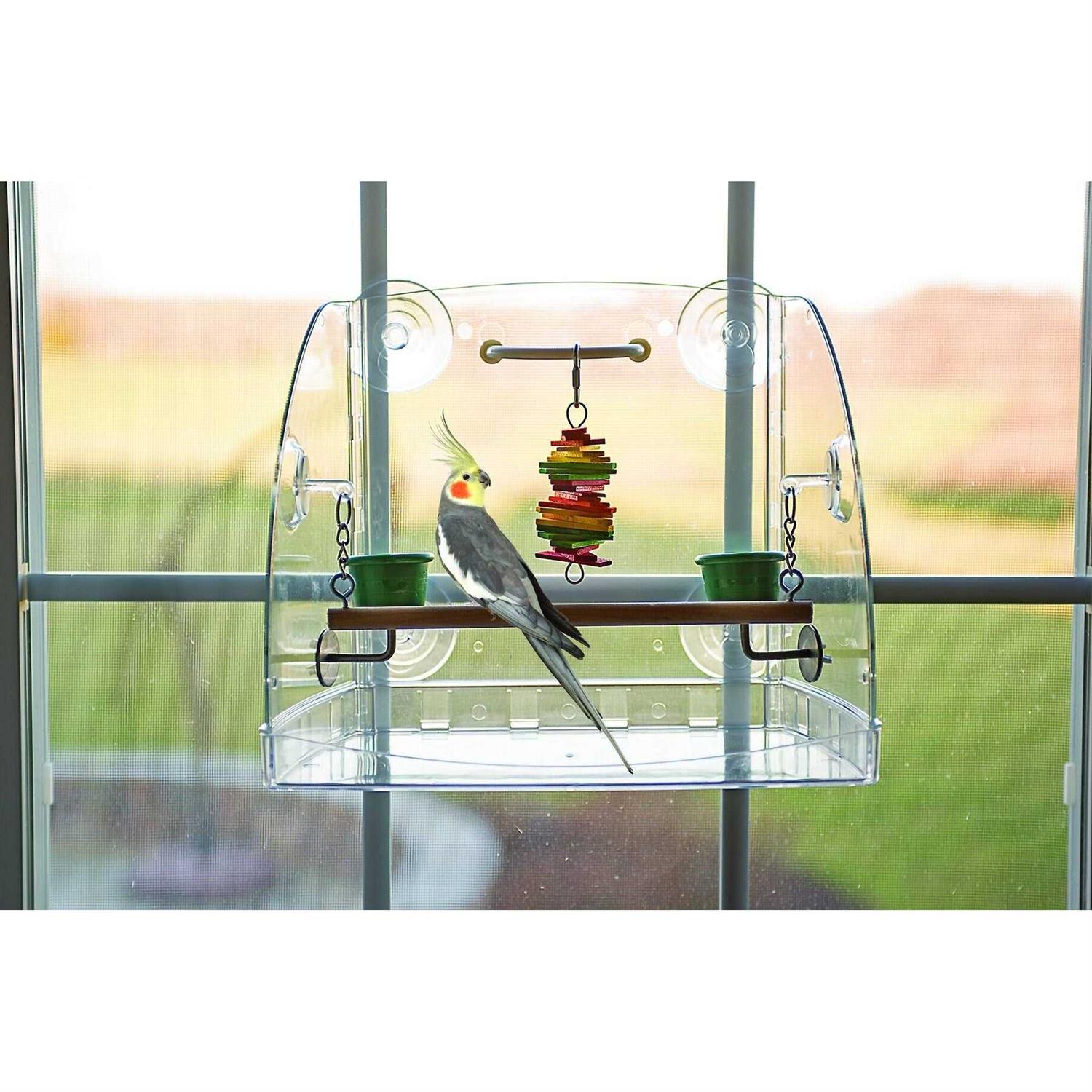 Window Play Center - Healthber