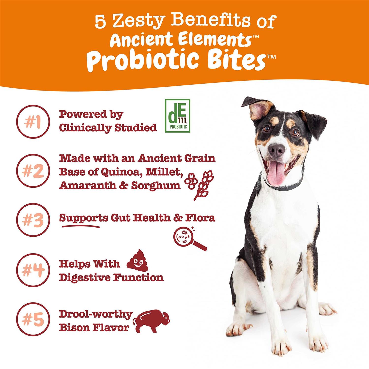 Zesty Paws Bison Ancient Elements Probiotic Bites for Dogs - Healthber