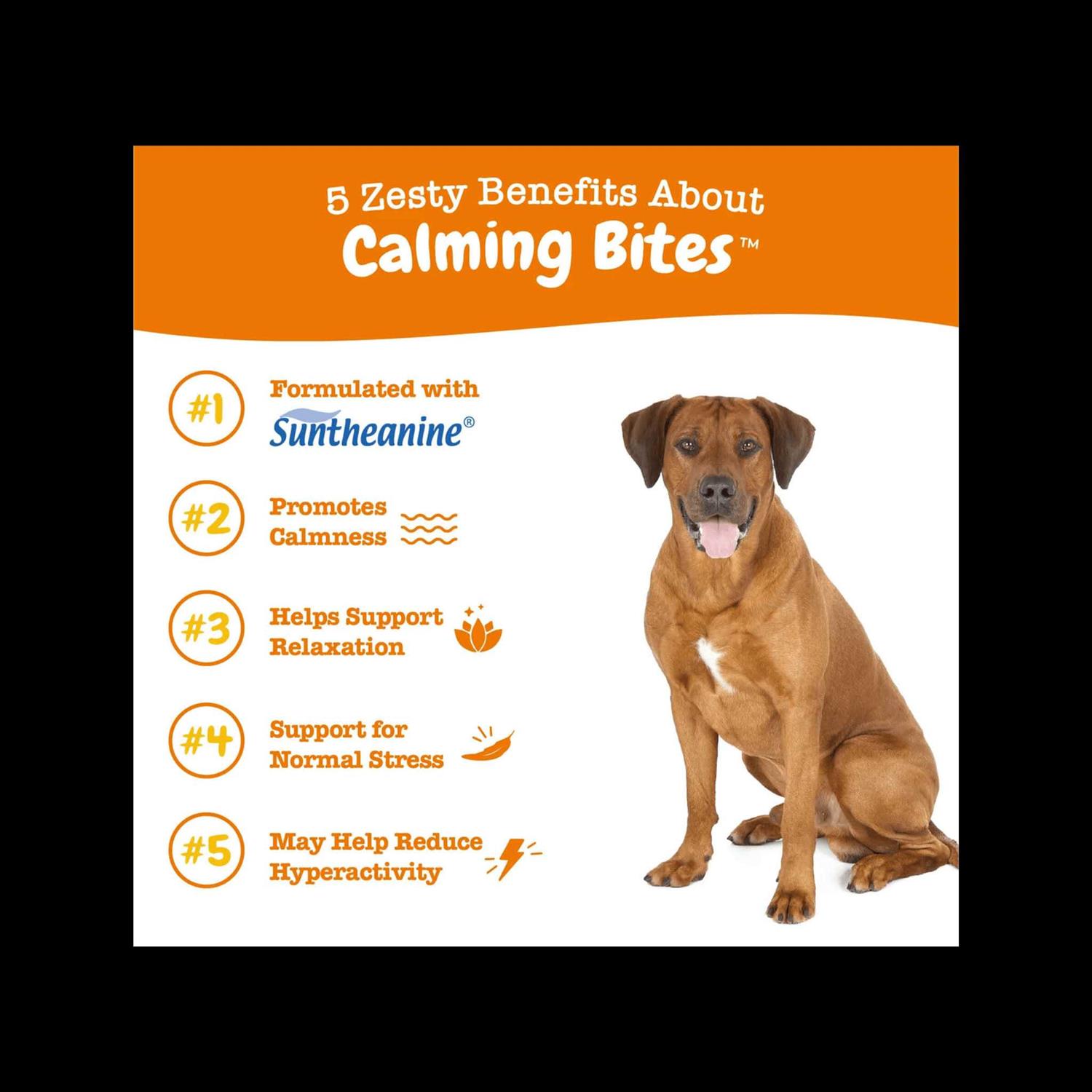 Zesty Paws Calming Bites Soft Chews for Dogs - Healthber