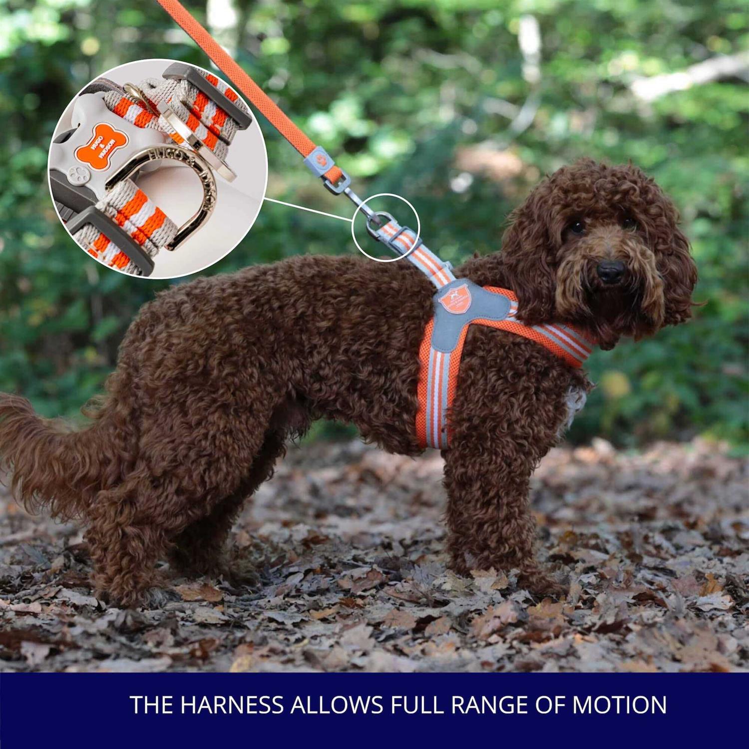 HUGO & HUDSON Easy Walk V Dog Harness - Healthber