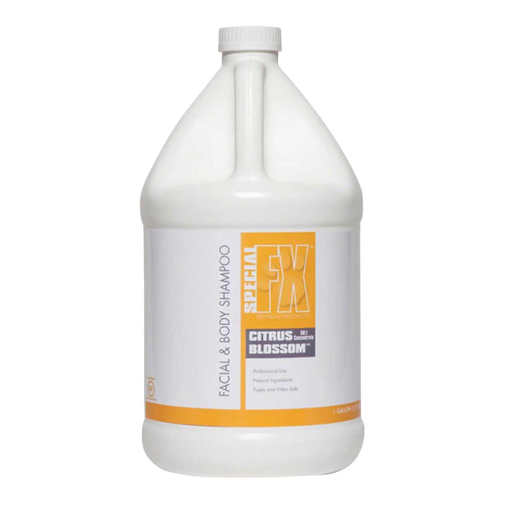 Citrus Blossom Facial & Body Shampoo, 50:1, Gallon - Healthber