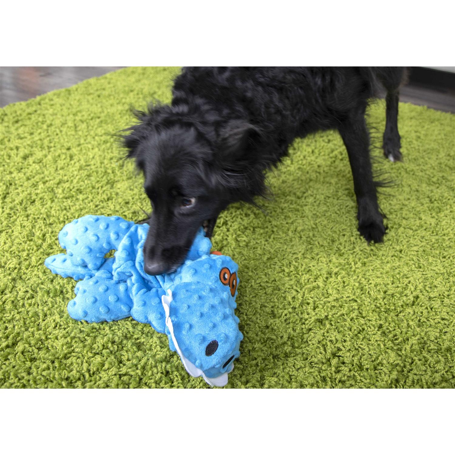 goDog Chew Guard Dog Toy - Healthber