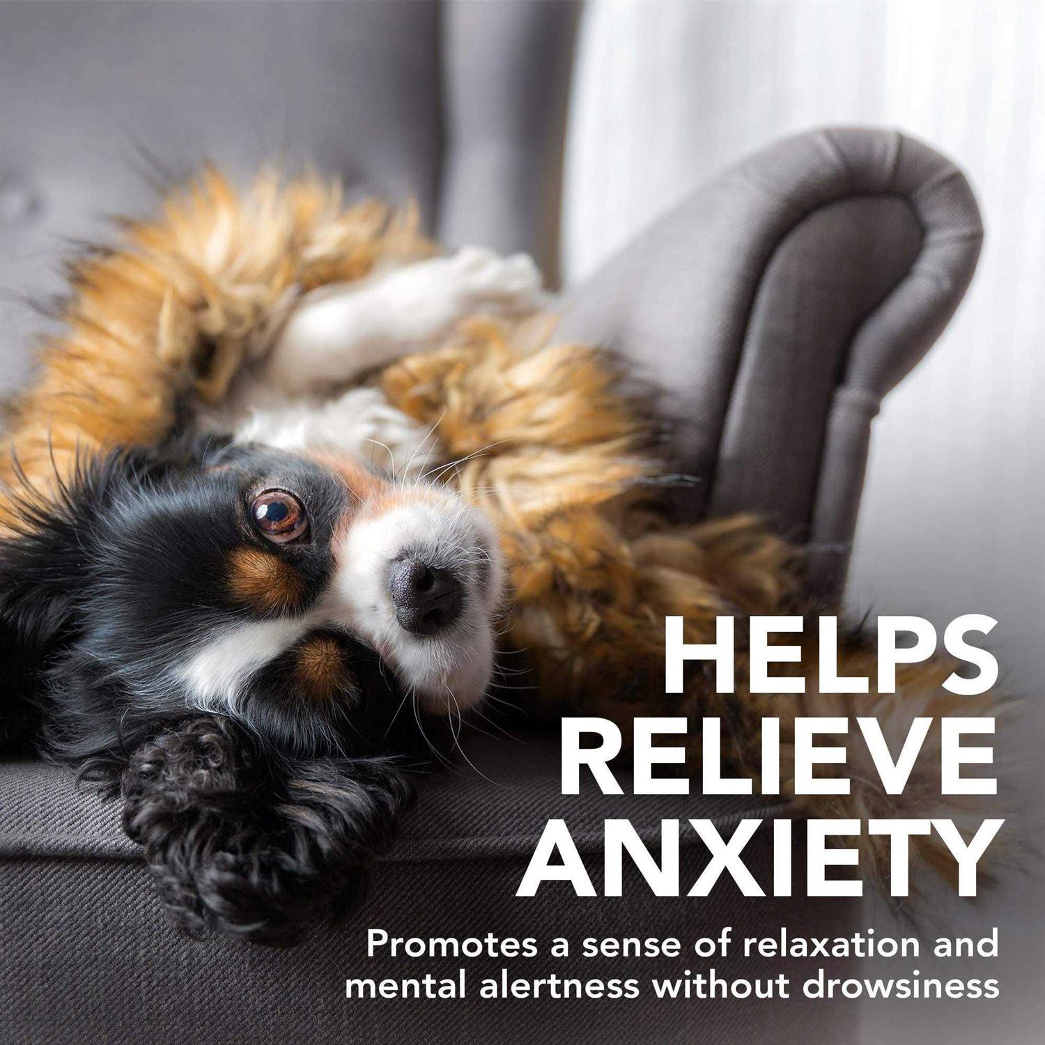 Vet’s Best Comfort Calm Soft Chews - Healthber