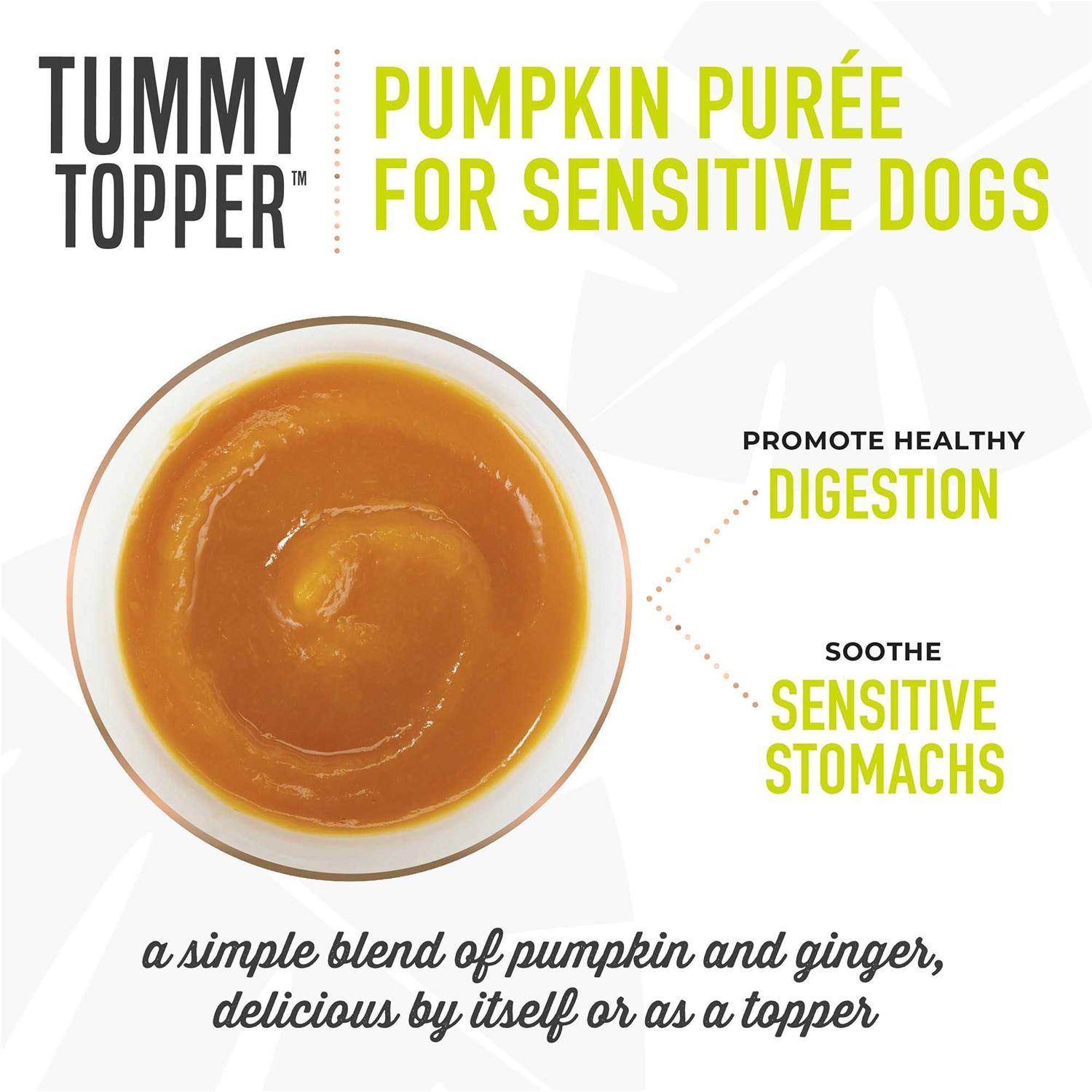 Tiki Dog Tummy Topper Pumpkin Ginger - Healthber