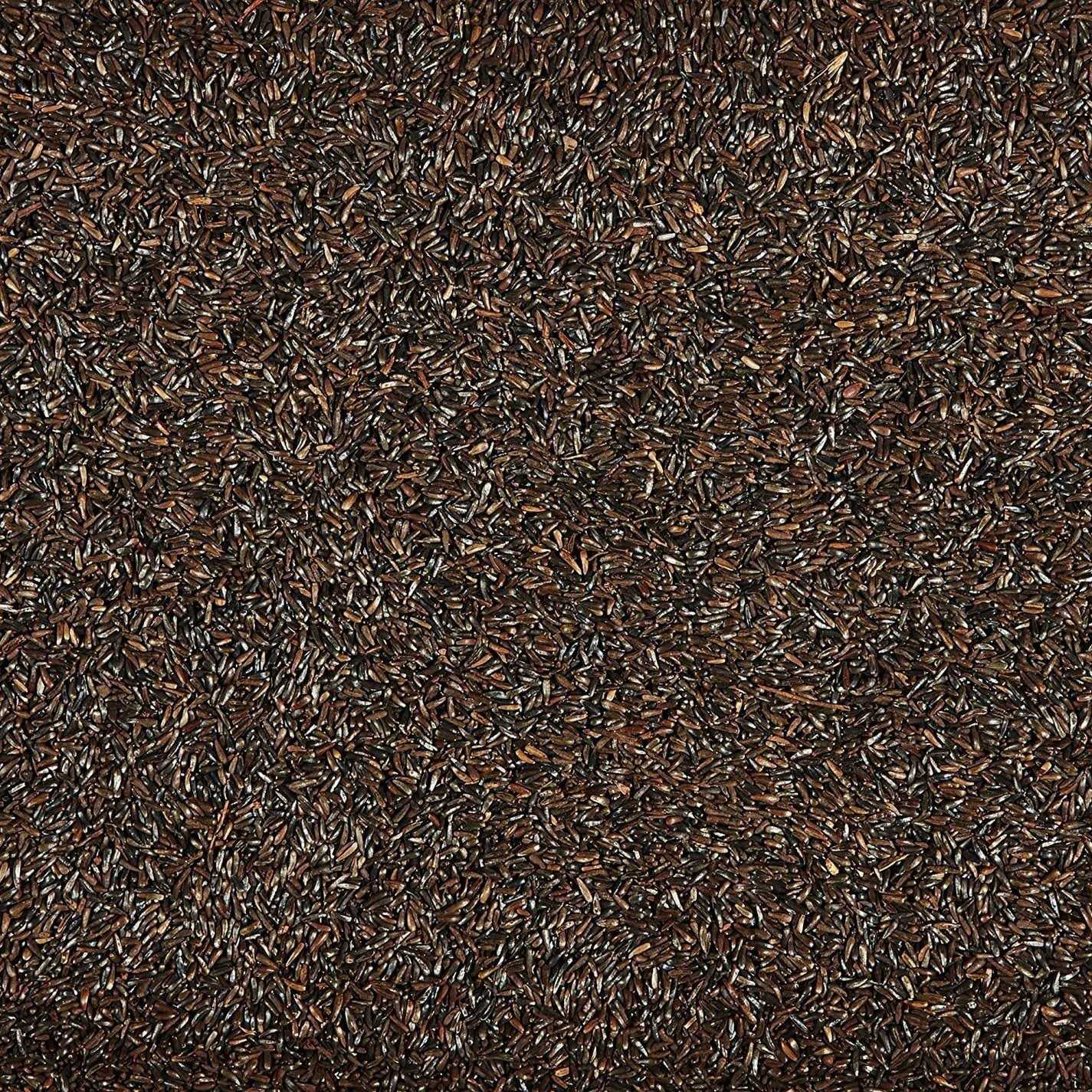 Kaytee Nyjer Seed Wild Bird Food - Healthber
