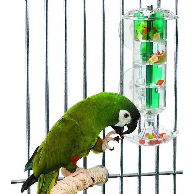 Caitec Foraging Windmill - Healthber