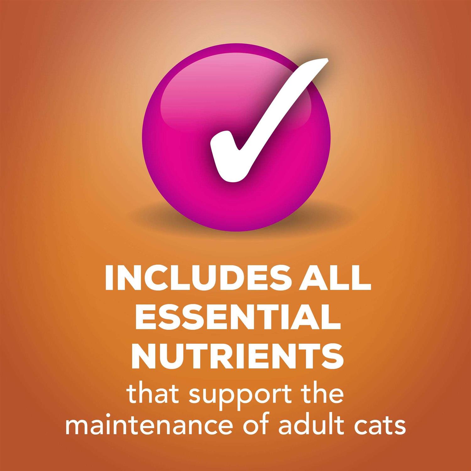 Friskies TurChicken Wet Cat Food Variety Pack - Healthber