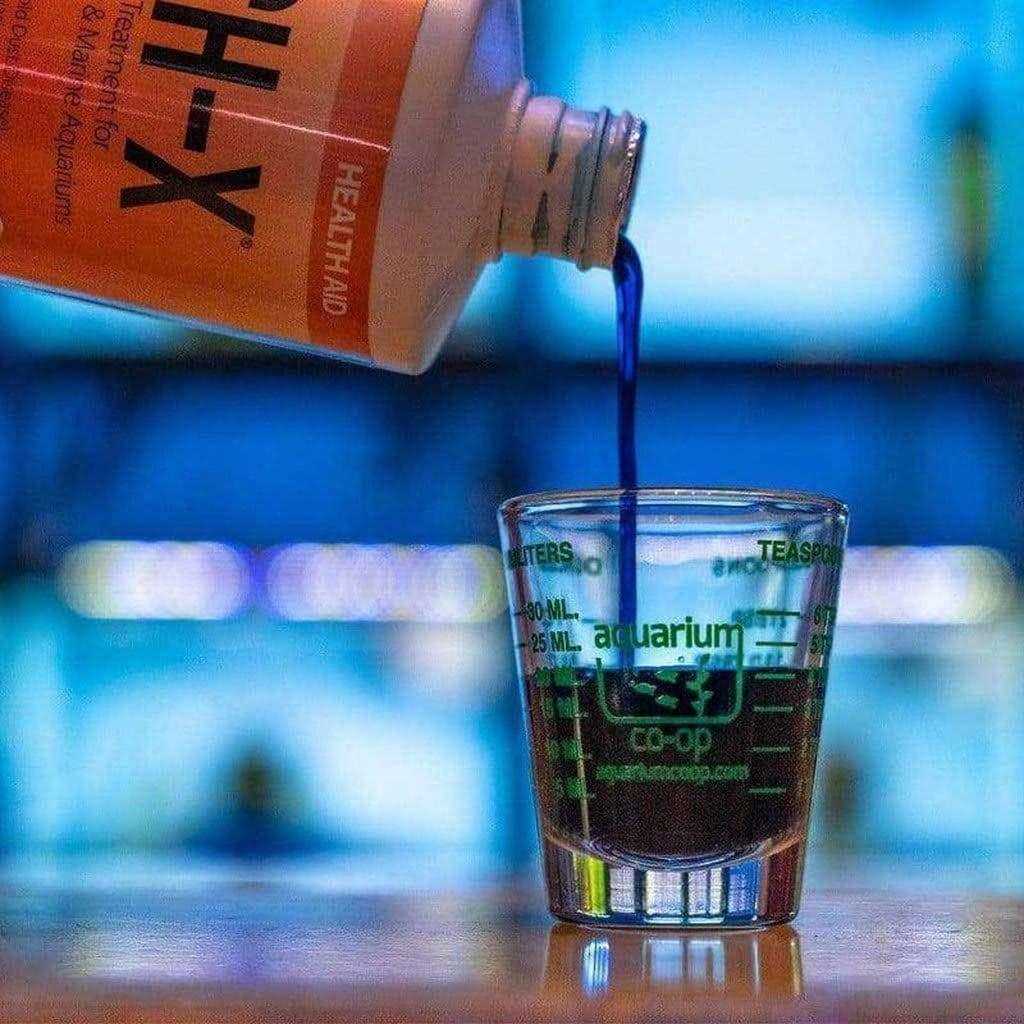 Hikari Ich-X - Healthber
