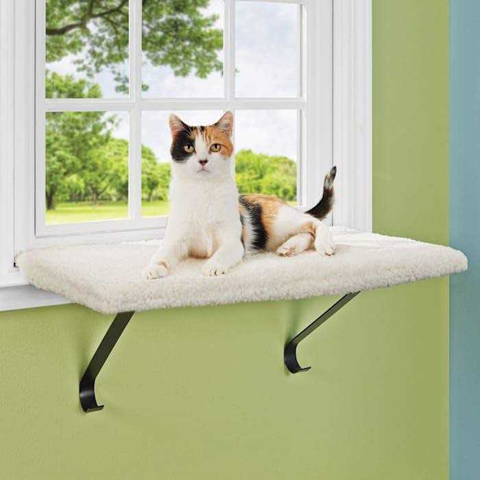 EveryYay Memory Foam Window Cat Perch - Healthber
