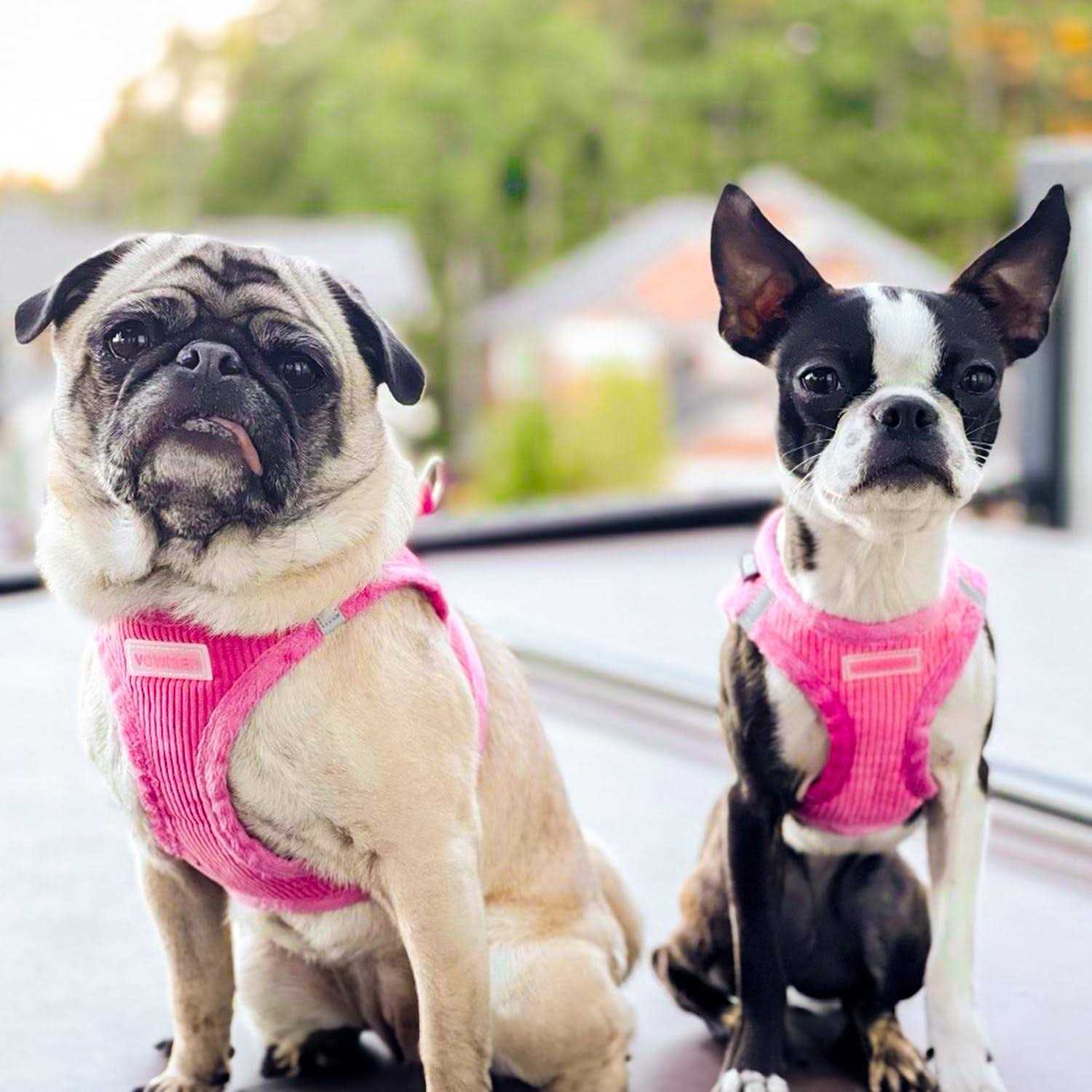 Voyager Step-In Plush Dog Harness Soft Plush, Step In Vest Harness for Small and Medium Dogs by Best Pet Supplies - Healthber