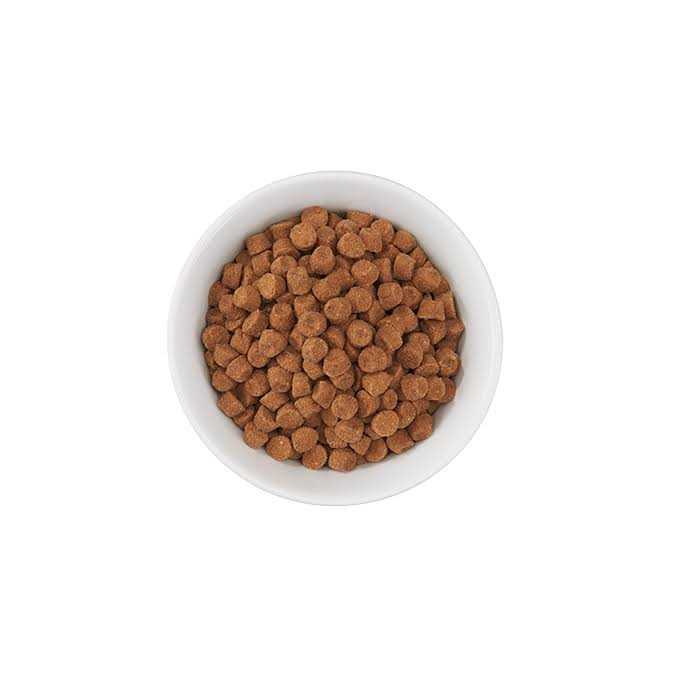 Tiki Cat Born Carnivore Turkey Light Dry Food - Healthber