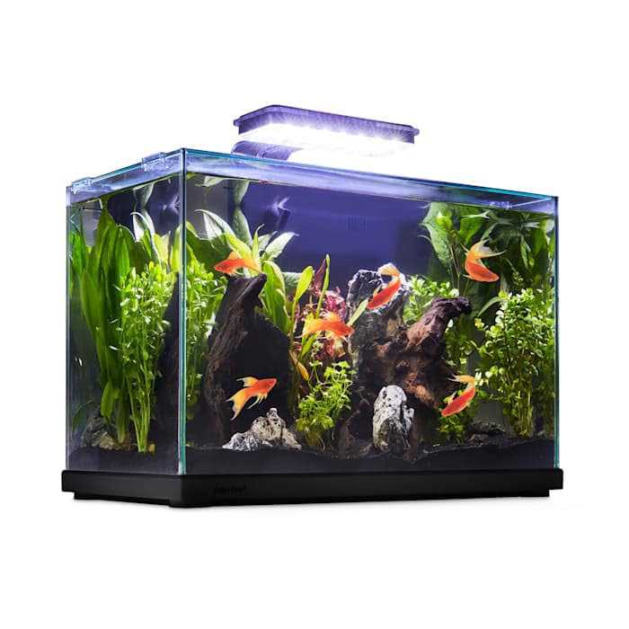 Imagitarium Glass Versa Aquarium - Healthber