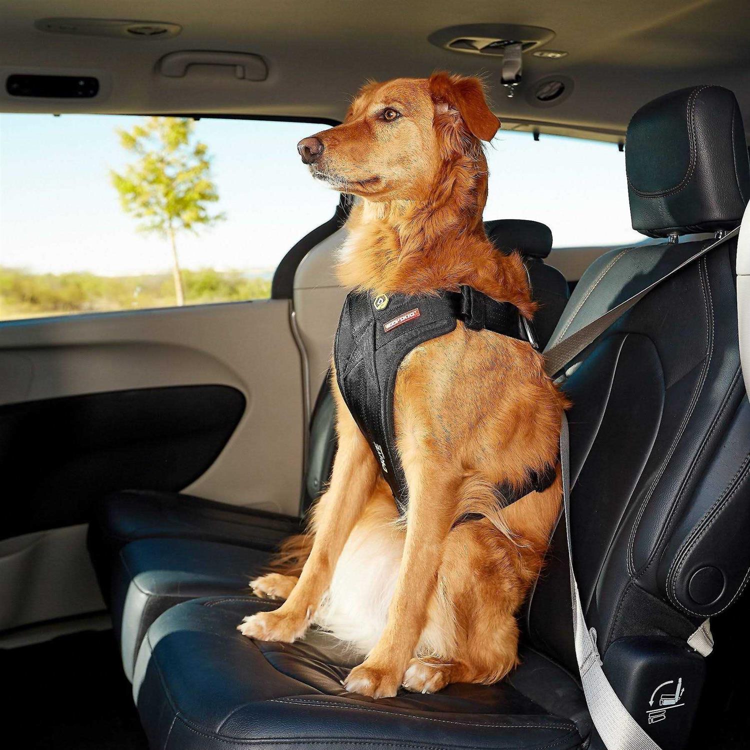EzyDog Drive Dog Car Harness - Healthber