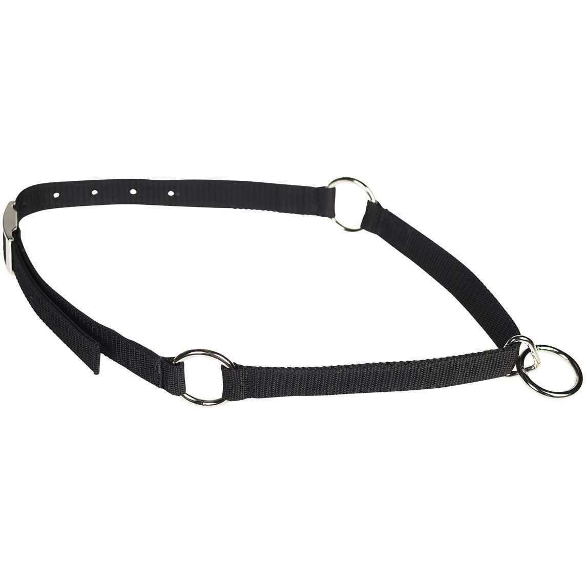 Mustang Neck Collar - Healthber