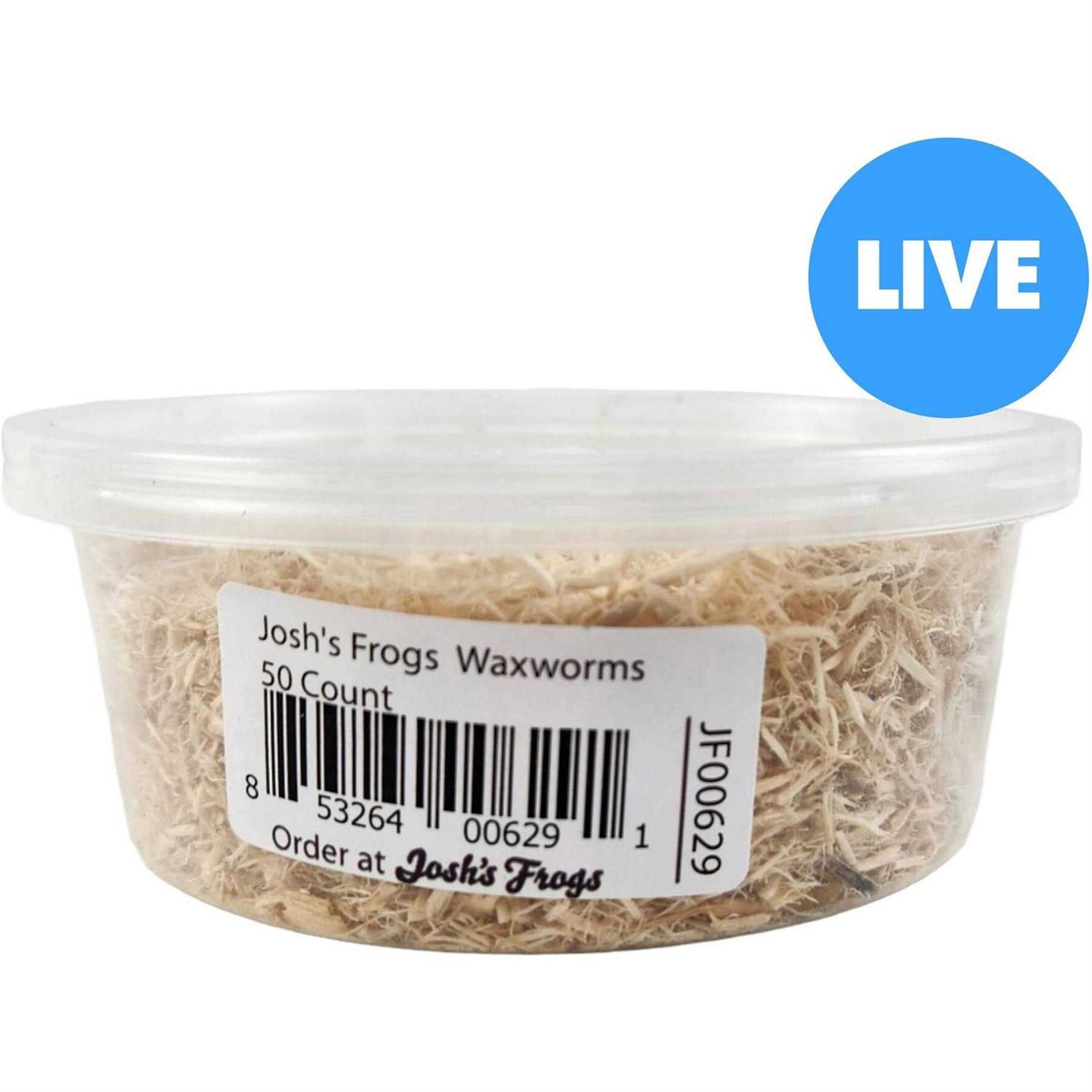 Josh’s Frogs Waxworms Live Feed Reptile Food - Healthber