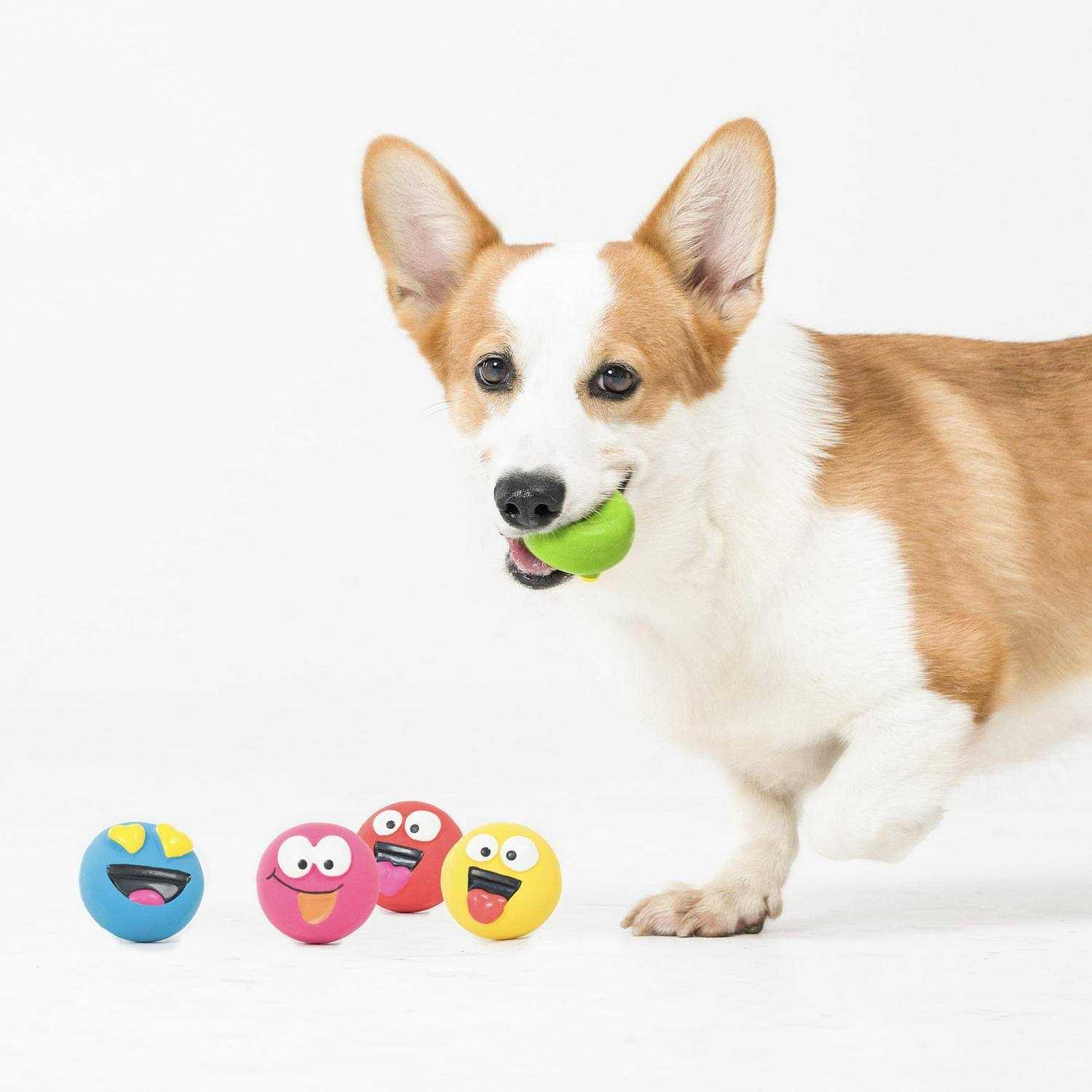 Vibrant Life Playful Buddy Dog Toys - Healthber