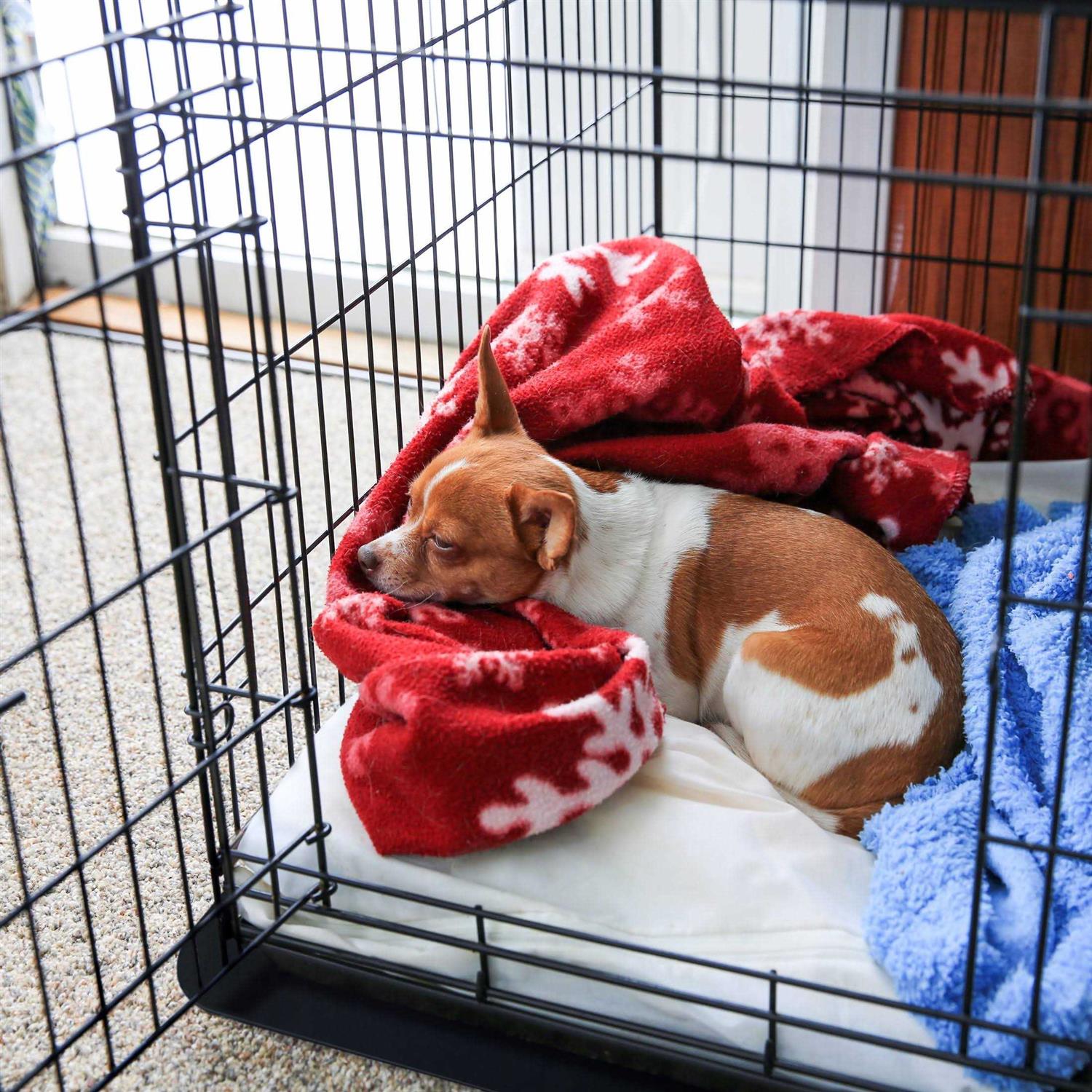 Floortex P-Tex Pet Crate Floor Protection Mat NCSMFLLS - Healthber
