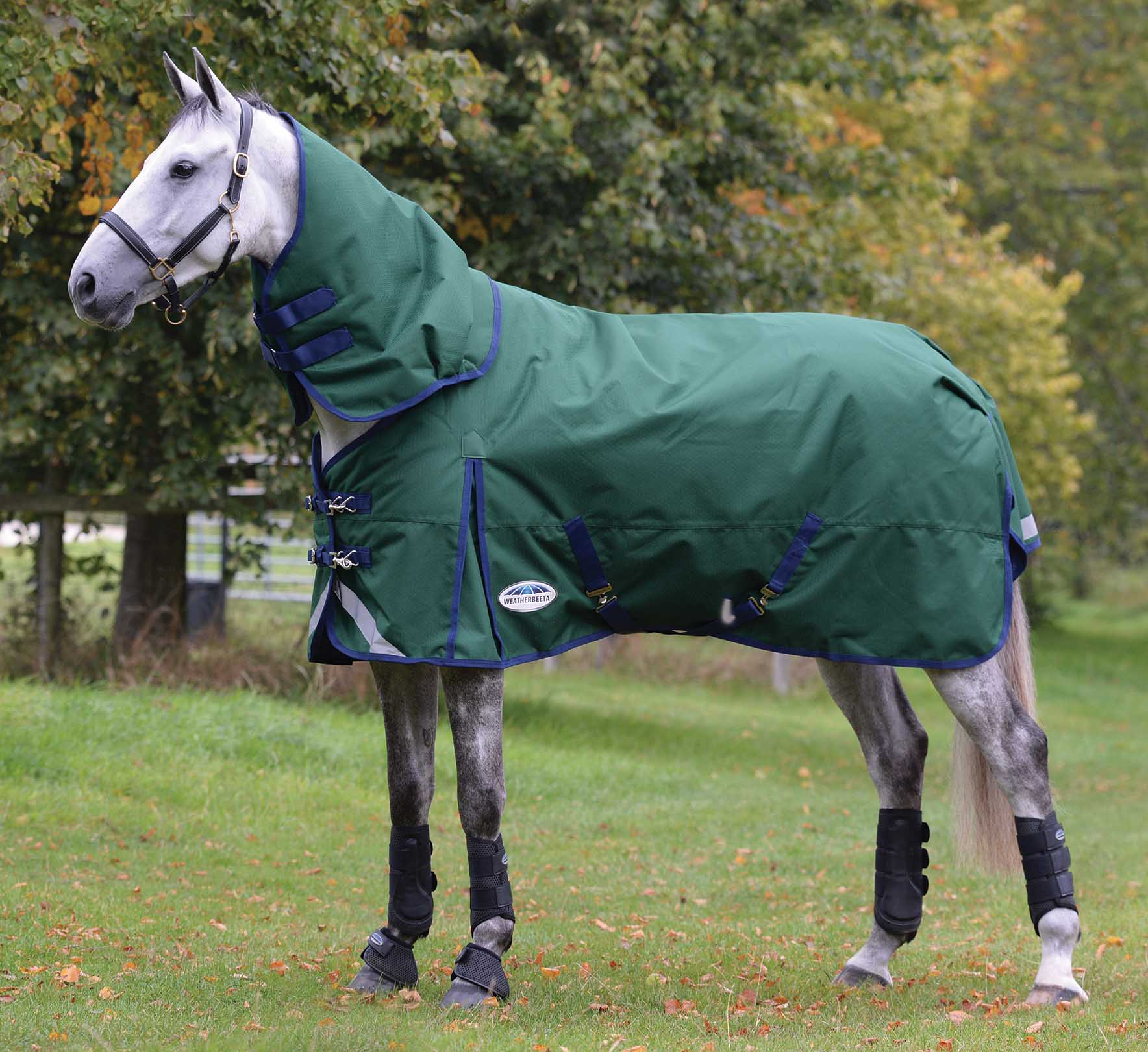 Weatherbeeta ComFITec Plus Dynamic II Detach-A-Neck Heavy Turnout Blanket for Horses - Healthber