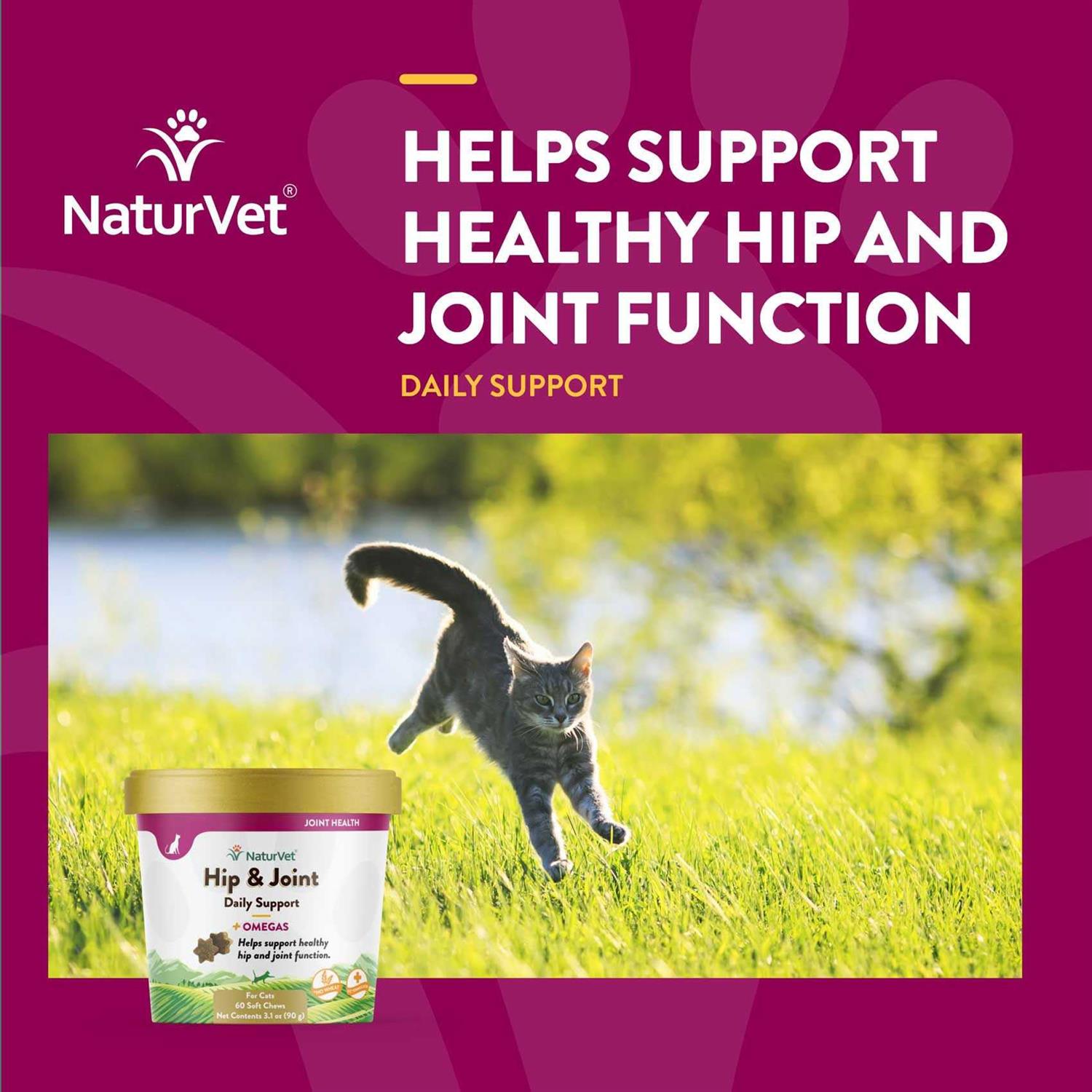 NaturVet Hip & Joint Plus Omegas Soft Chews Cat Supplement - Healthber
